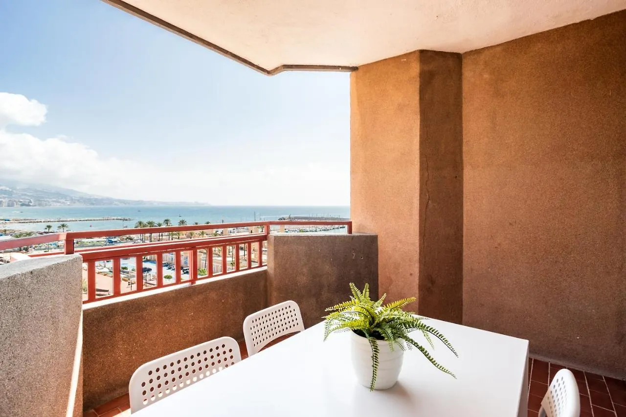 Sur Suites Palmeras 525 contacts